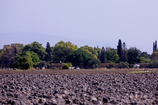 Landscape_Nature_north_of_Israel_Photography_033_Canon_EOS_5D_Mark_IV.JPG