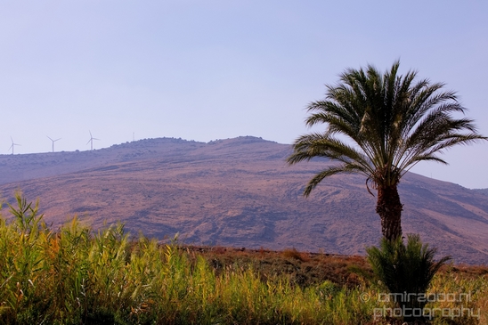 Landscape_Nature_north_of_Israel_Photography_043_Canon_EOS_5D_Mark_IV.JPG