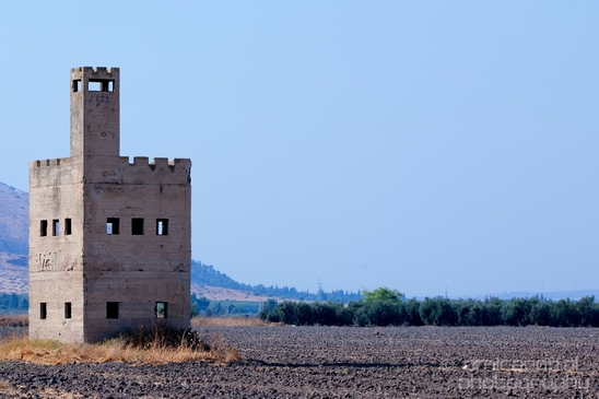 Landscape_Nature_north_of_Israel_Photography_044_Canon_EOS_5D_Mark_IV.JPG
