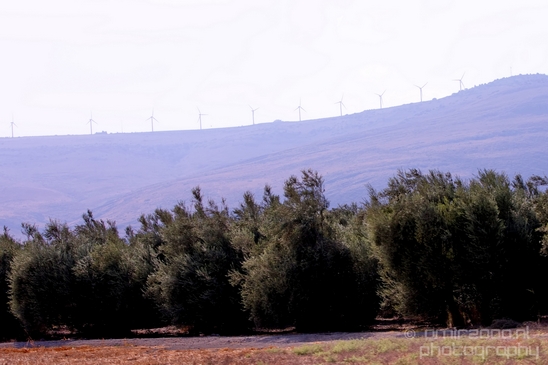 Landscape_Nature_north_of_Israel_Photography_046_Canon_EOS_5D_Mark_IV.JPG