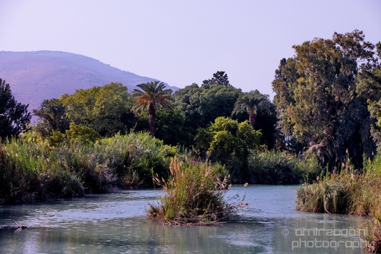 Landscape_Nature_north_of_Israel_Photography_047_Canon_EOS_5D_Mark_IV.JPG
