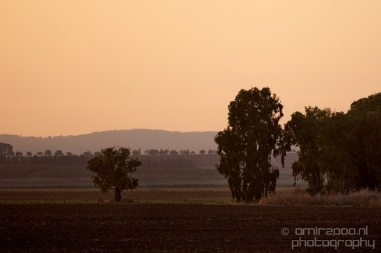 Landscape_Nature_north_of_Israel_Photography_055_Canon_EOS_5D_Mark_IV.JPG