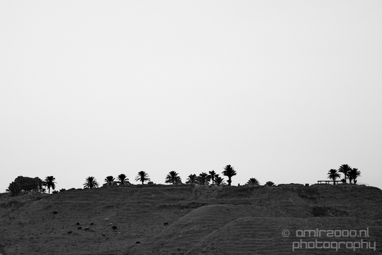 Landscape_Nature_north_of_Israel_Photography_060_Canon_EOS_5D_Mark_IV.JPG