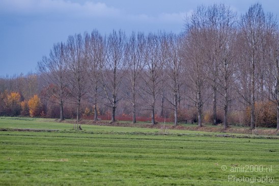 Landscape_Photogrsphy_NL_DE_LUX_Nature_Photography_001_Canon_EOS_7D.JPG