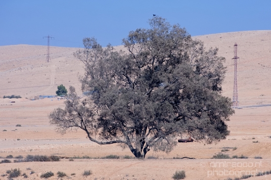 Landscape_nature_St_George_Monastery_Wadi_Qelt_Israel_Photography_001_Canon_EOS_5D_Mark_IV.JPG