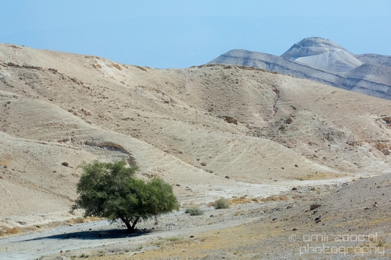 Landscape_nature_St_George_Monastery_Wadi_Qelt_Israel_Photography_002_Canon_EOS_5D_Mark_IV.JPG