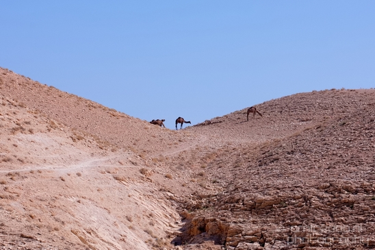 Landscape_nature_St_George_Monastery_Wadi_Qelt_Israel_Photography_003_Canon_EOS_5D_Mark_IV.JPG