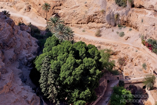 Landscape_nature_St_George_Monastery_Wadi_Qelt_Israel_Photography_008_Canon_EOS_5D_Mark_IV.JPG