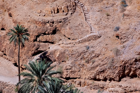 Landscape_nature_St_George_Monastery_Wadi_Qelt_Israel_Photography_013_Canon_EOS_5D_Mark_IV.JPG