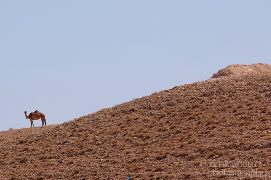 Landscape_nature_St_George_Monastery_Wadi_Qelt_Israel_Photography_015_Canon_EOS_5D_Mark_IV.JPG