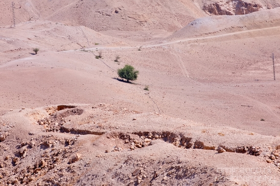 Landscape_nature_St_George_Monastery_Wadi_Qelt_Israel_Photography_027_Canon_EOS_5D_Mark_IV.JPG