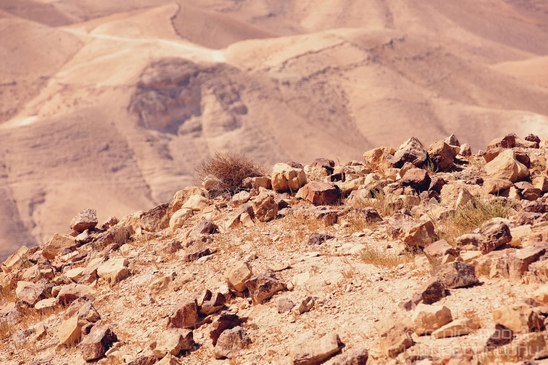 Landscape_nature_St_George_Monastery_Wadi_Qelt_Israel_Photography_029_Canon_EOS_5D_Mark_IV.JPG