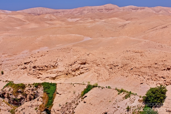 Landscape_nature_St_George_Monastery_Wadi_Qelt_Israel_Photography_032_Canon_EOS_5D_Mark_IV.JPG
