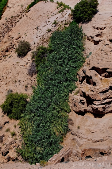 Landscape_nature_St_George_Monastery_Wadi_Qelt_Israel_Photography_035_Canon_EOS_5D_Mark_IV.JPG
