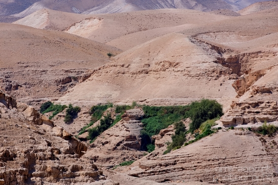 Landscape_nature_St_George_Monastery_Wadi_Qelt_Israel_Photography_036_Canon_EOS_5D_Mark_IV.JPG