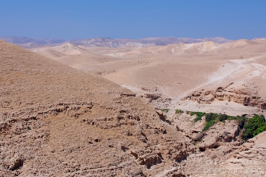 Landscape_nature_St_George_Monastery_Wadi_Qelt_Israel_Photography_037_Canon_EOS_5D_Mark_IV.JPG