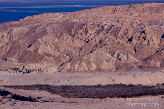 Landscape_nature_St_George_Monastery_Wadi_Qelt_Israel_Photography_047_Canon_EOS_5D_Mark_IV.JPG