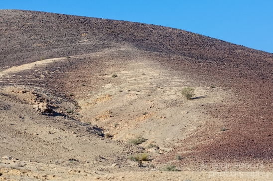 Landscape_nature_St_George_Monastery_Wadi_Qelt_Israel_Photography_049_Canon_EOS_5D_Mark_IV.JPG