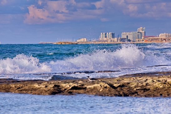 Mediterranean_Sea_nature_Israel_Landscape_Photography_017_Canon_EOS_5D_Mark_IV.JPG