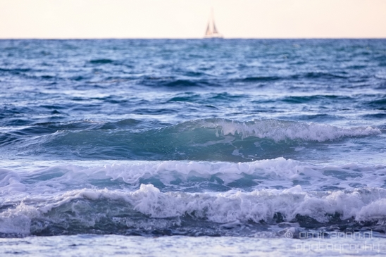 Mediterranean_Sea_nature_Israel_Landscape_Photography_025_Canon_EOS_5D_Mark_IV.JPG