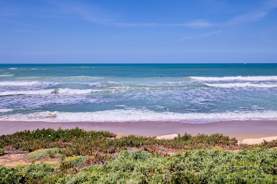 Mediterranean_Sea_nature_Israel_Landscape_Photography_061_Canon_EOS_5D_Mark_IV.JPG
