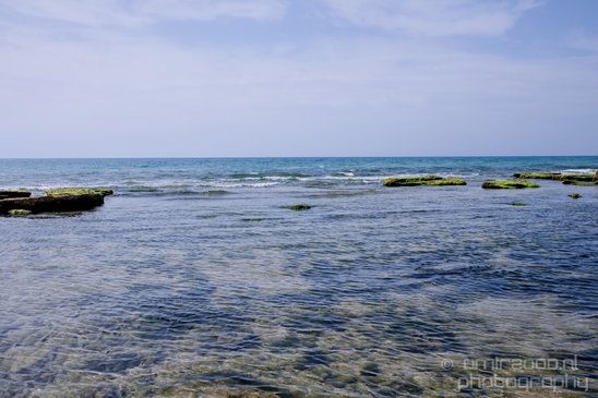 Mediterranean_Sea_nature_Israel_Landscape_Photography_065_Canon_EOS_5D_Mark_IV.JPG
