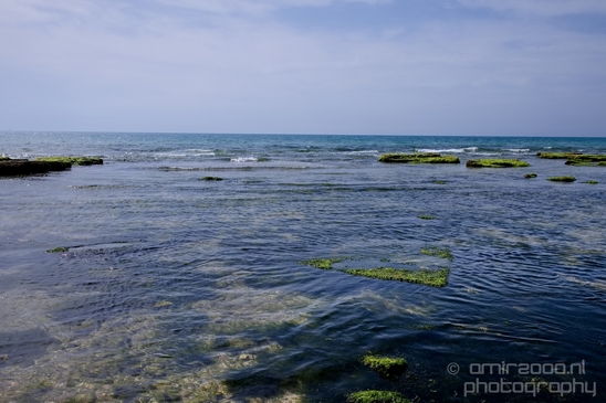 Mediterranean_Sea_nature_Israel_Landscape_Photography_066_Canon_EOS_5D_Mark_IV.JPG