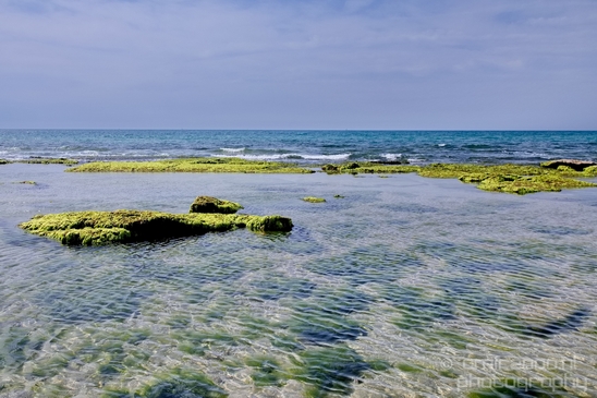 Mediterranean_Sea_nature_Israel_Landscape_Photography_068_Canon_EOS_5D_Mark_IV.JPG