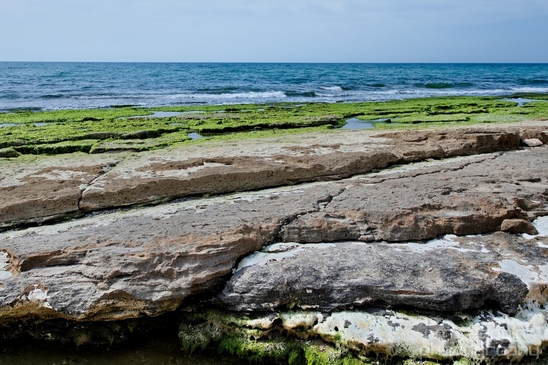 Mediterranean_Sea_nature_Israel_Landscape_Photography_069_Canon_EOS_5D_Mark_IV.JPG