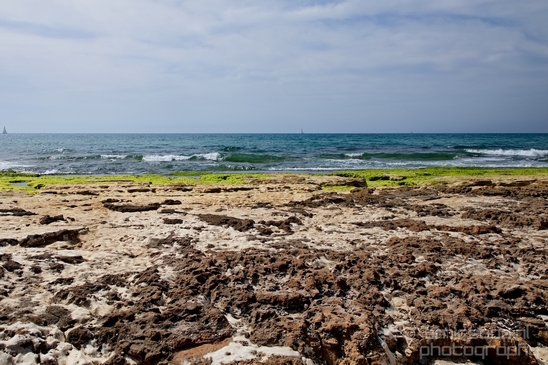 Mediterranean_Sea_nature_Israel_Landscape_Photography_070_Canon_EOS_5D_Mark_IV.JPG
