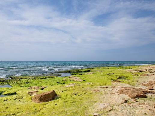 Mediterranean_Sea_nature_Israel_Landscape_Photography_071_Canon_EOS_5D_Mark_IV.JPG