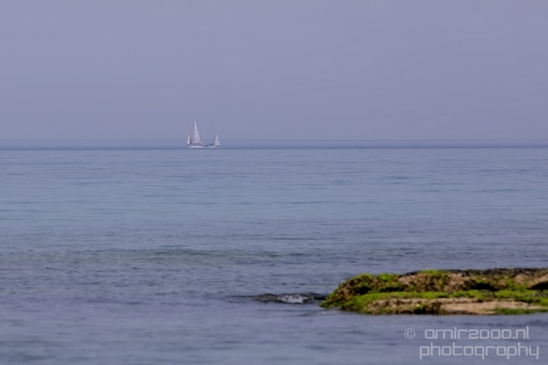 Mediterranean_Sea_nature_Israel_Landscape_Photography_072_Canon_EOS_5D_Mark_IV.JPG