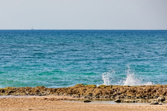 Mediterranean_Sea_nature_Israel_Landscape_Photography_080_Canon_EOS_5D_Mark_IV.JPG