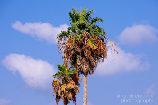 Mediterranean_Sea_nature_Israel_Landscape_Photography_081_Canon_EOS_5D_Mark_IV.JPG