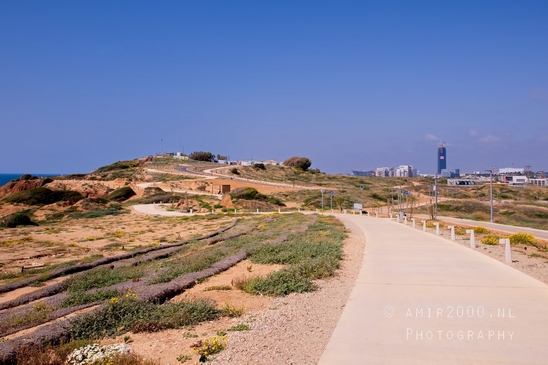 Mediterranean_Sea_nature_Israel_Landscape_Photography_082_Canon_EOS_5D_Mark_IV.JPG