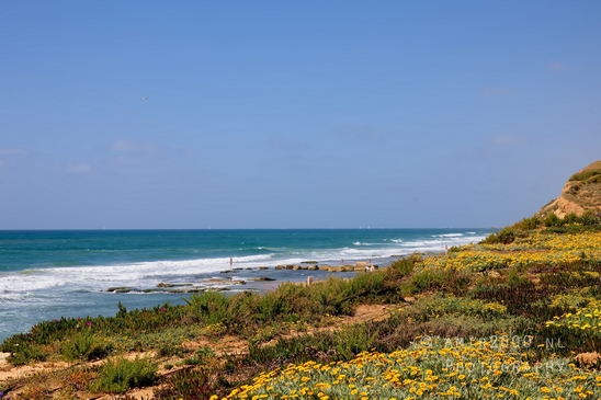 Mediterranean_Sea_nature_Israel_Landscape_Photography_087_Canon_EOS_5D_Mark_IV.JPG
