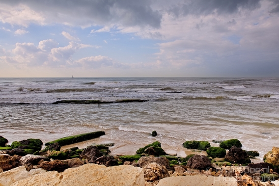 Mediterranean_Sea_nature_Israel_Photography_Landscape_002_Canon_EOS_5D_Mark_IV.JPG