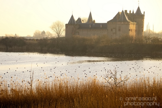 Muiderslot_Muiden_north_holland_landscape_nederland_Netherlands_Photography_004_Canon_EOS_5D_Mark_IV.JPG