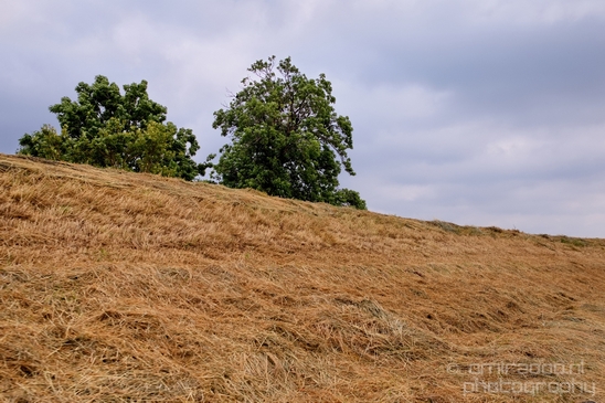 Muiderslot_Muiden_north_holland_landscape_nederland_Netherlands_Photography_027_Canon_EOS_5D_Mark_IV.JPG
