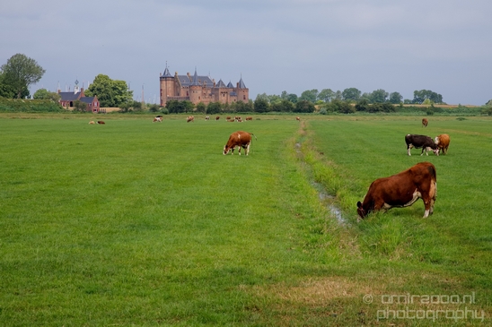 Muiderslot_Muiden_north_holland_landscape_nederland_Netherlands_Photography_030_Canon_EOS_5D_Mark_IV.JPG
