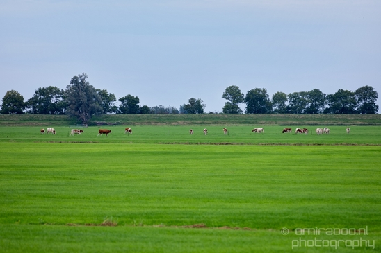Muiderslot_Muiden_north_holland_landscape_nederland_Netherlands_Photography_052_Canon_EOS_5D_Mark_IV.JPG