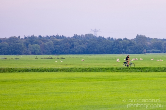 Muiderslot_Muiden_north_holland_landscape_nederland_Netherlands_Photography_056_Canon_EOS_5D_Mark_IV.JPG