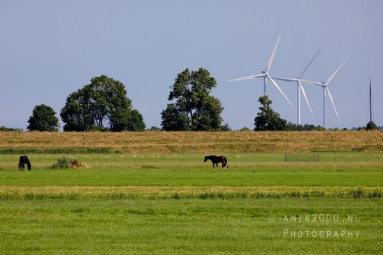 Muiderslot_Muiden_north_holland_landscape_nederland_Netherlands_Photography_059_Canon_EOS_5D_Mark_IV.JPG