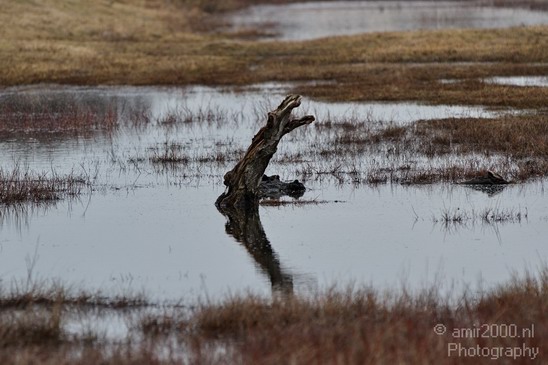 Nationaal_Park_Zuid_Kennemerland_Nature_Landscape_Photography_016_Canon_EOS_7D.JPG