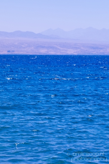 Nature_Israel_the_Red_Sea_Eilat_Landscape_Photography_003_Canon_EOS_5D_Mark_IV.JPG