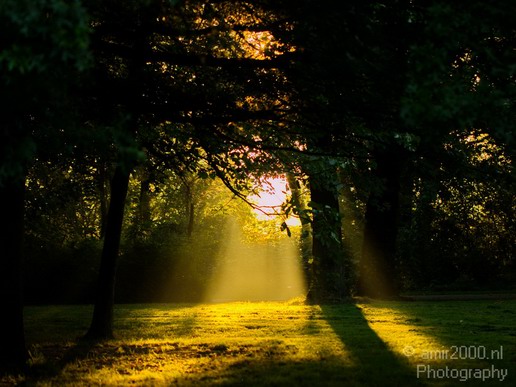 Nature_Summer_Morning_Amsterdam_Netherlands_Landscape_Photography_002_Canon_EOS_5D_Mark_IV.JPG