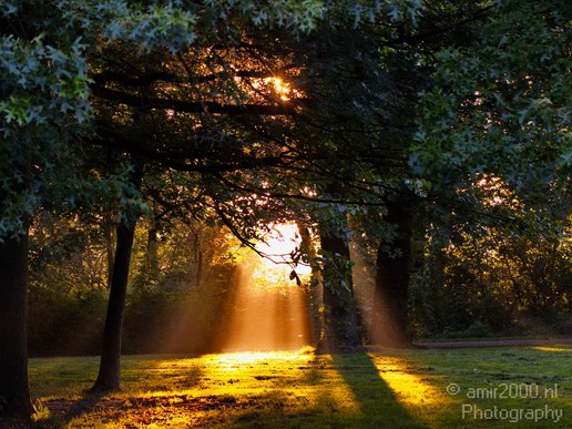 Nature_Summer_Morning_Amsterdam_Netherlands_Landscape_Photography_004_Canon_EOS_5D_Mark_IV.JPG