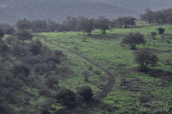 Nature_north_Israel_Jordan_river_winter_Landscape_Photography_006_Canon_EOS_7D.JPG