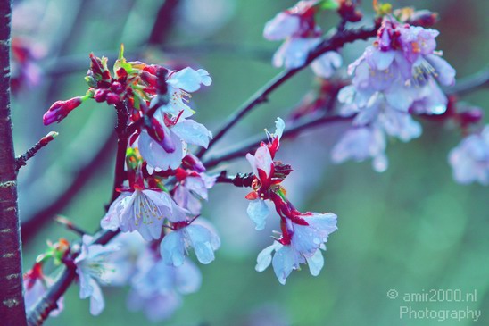 Nature_photgraphy_spring_scenery_Landscape_Photography_001_Canon_EOS_7D.JPG