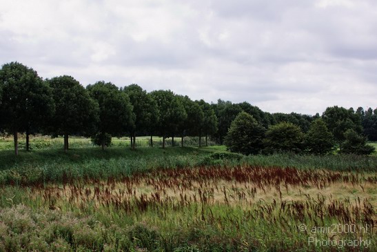 Netherlands_Landscape_Photography_002_Canon_EOS_50D.JPG